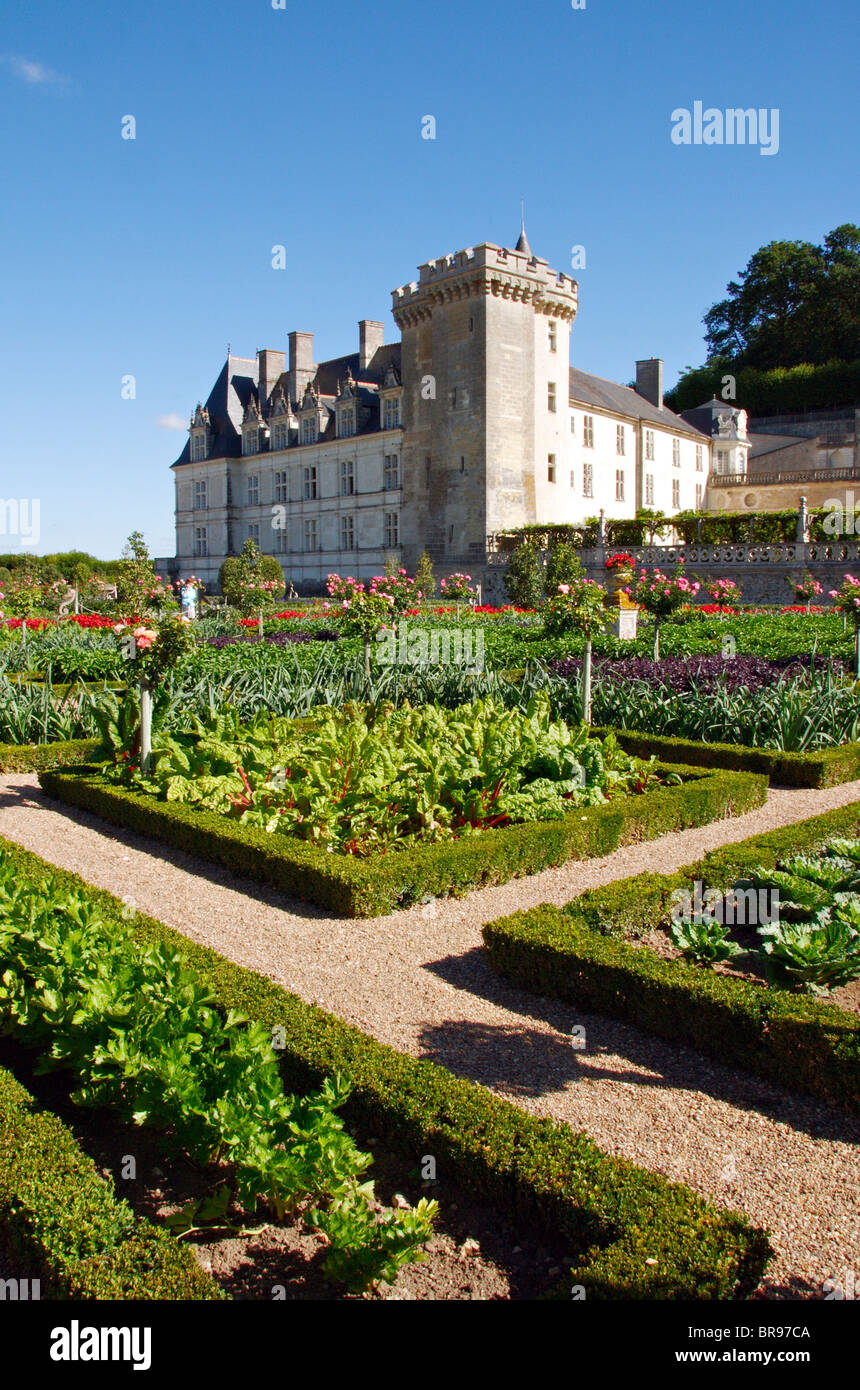 The Chateau de Villandry and the Potager garden, Indre et Loire, France Stock Photo