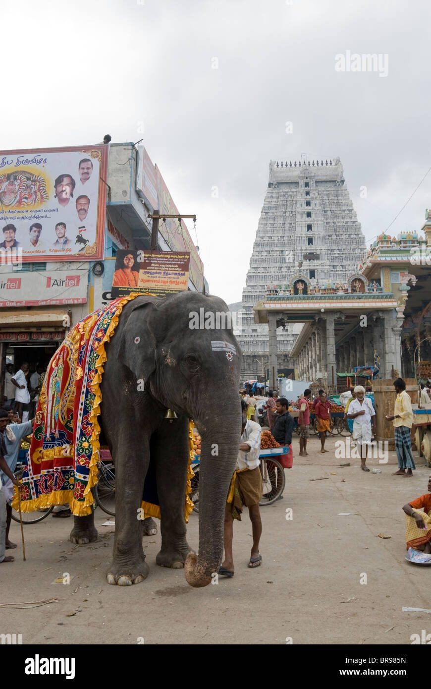 Karthigai Deepam festival in Arunachaleshwara temple ; Thiruvannamalai ; Tamil Nadu Stock Photo