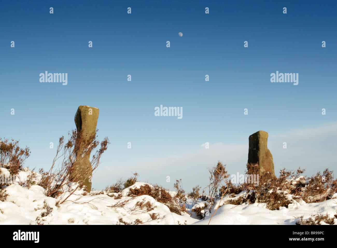 Weathered old stone posts in snow on Kildale Moor with the moon above against a blue sky in North York Moors national park Stock Photo
