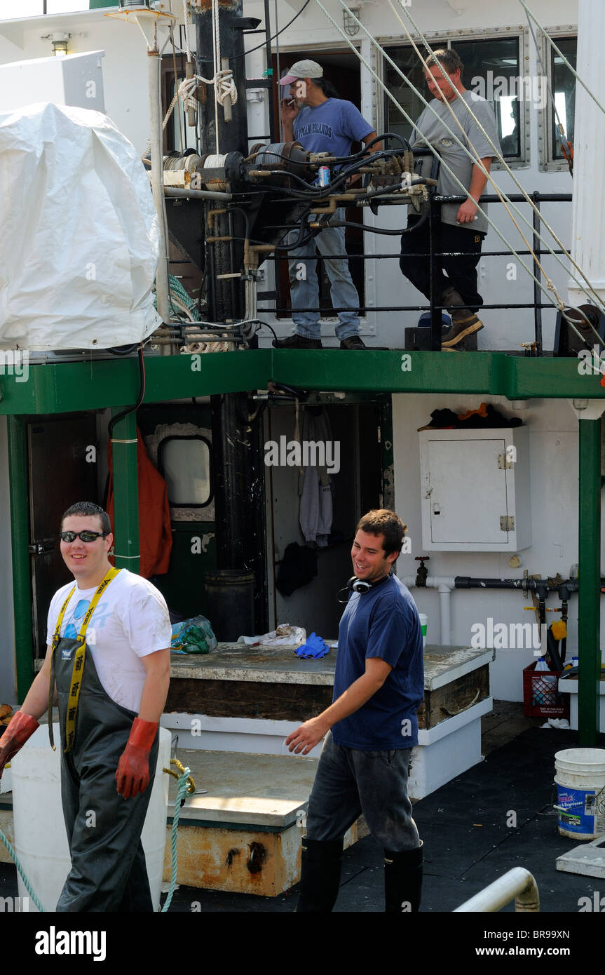 UnLoading Swordfish From The Hannah Boden Fishing Boat, From The Discovery Channel Show, Swords