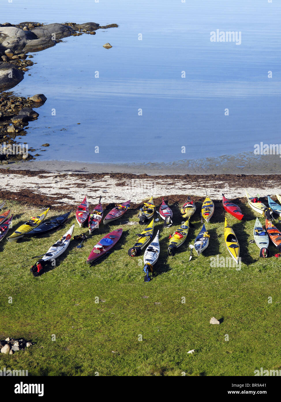 Sea kayaks lay on grassy beach Stock Photo - Alamy