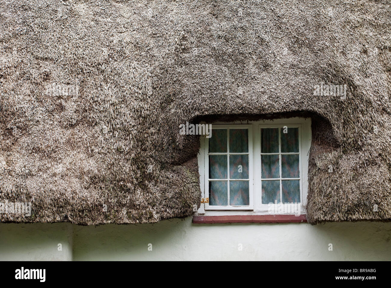 A traditional thatched roof and cottage window, Dorset, UK Stock Photo