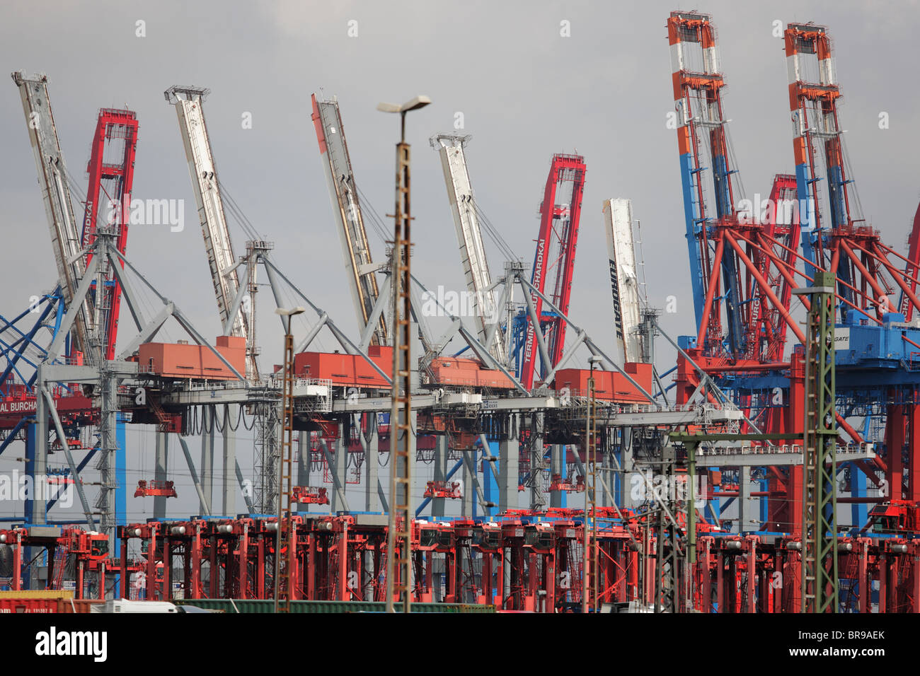 Container cranes at terminal Burchardkai in Hamburg Stock Photo