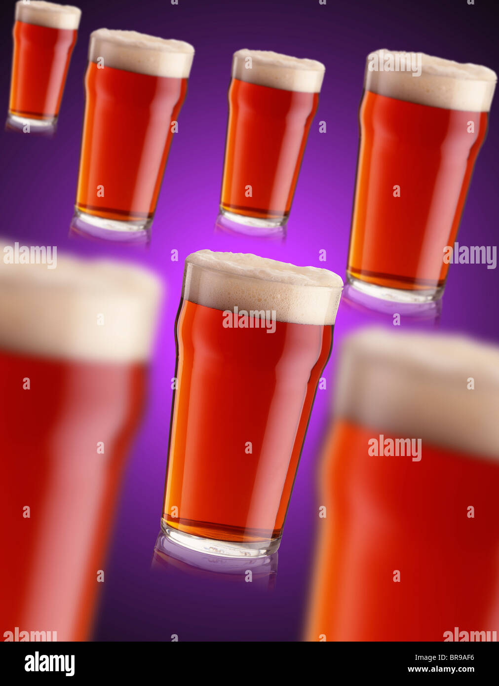 7 pints of bitter real ale on a purple background Stock Photo