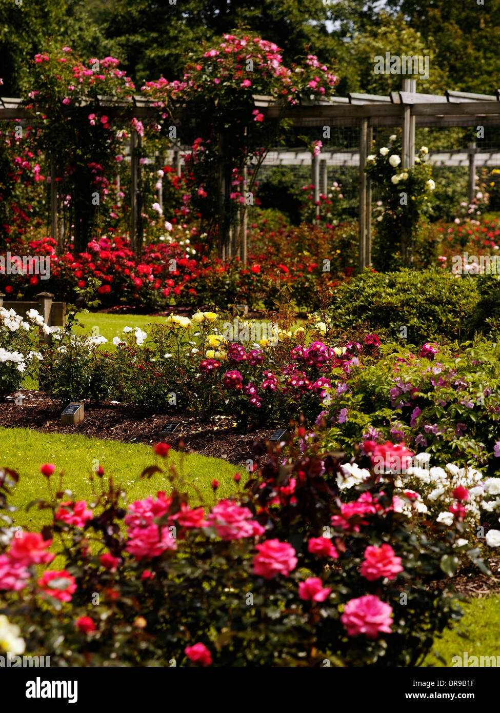 Sir Thomas And Lady Dixon Park, Belfast, Ireland Stock Photo