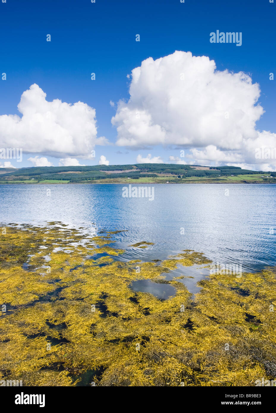 View from Isle of Mull at Fishnish towards Lochaline, Scotland, UK Stock Photo