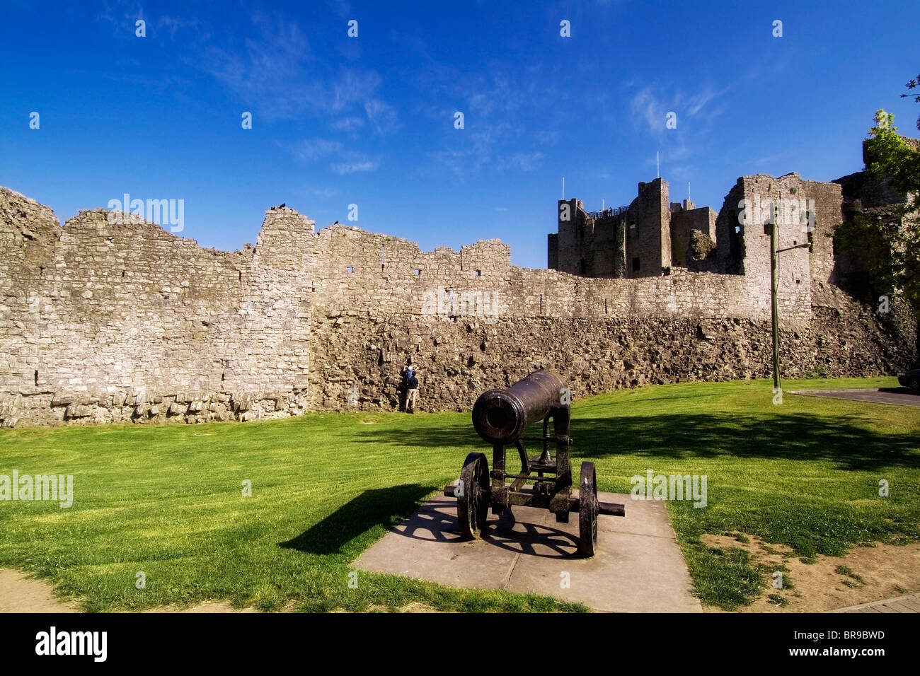 Trim Castle, Co. Meath, Ireland Stock Photo Alamy