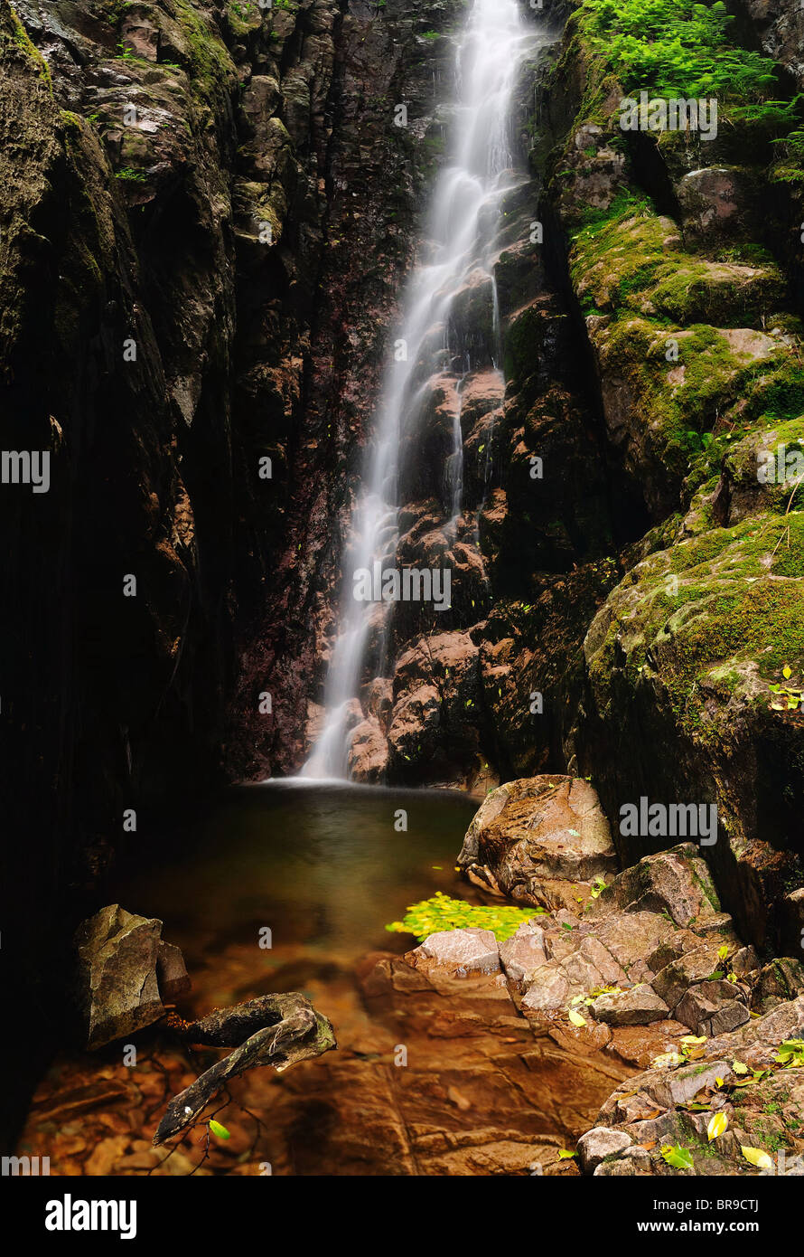 Scale Force waterfall in the English Lake District Stock Photo Alamy