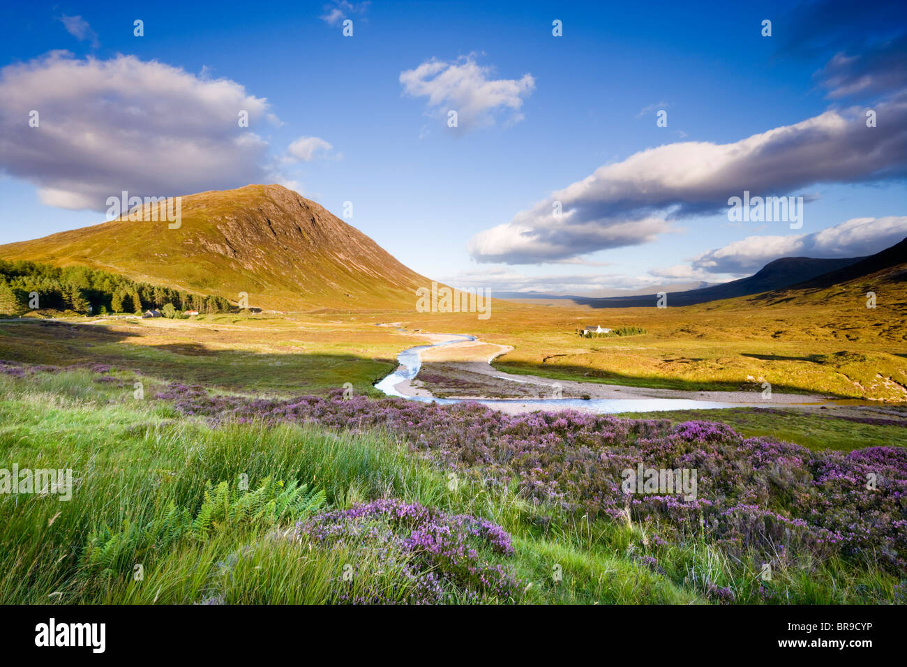 Glencoe. View towards Rannoch Moor, River Coupall in foreground, Beinn a' Chrulaiste on left. Highland, Scotland, UK. Stock Photo
