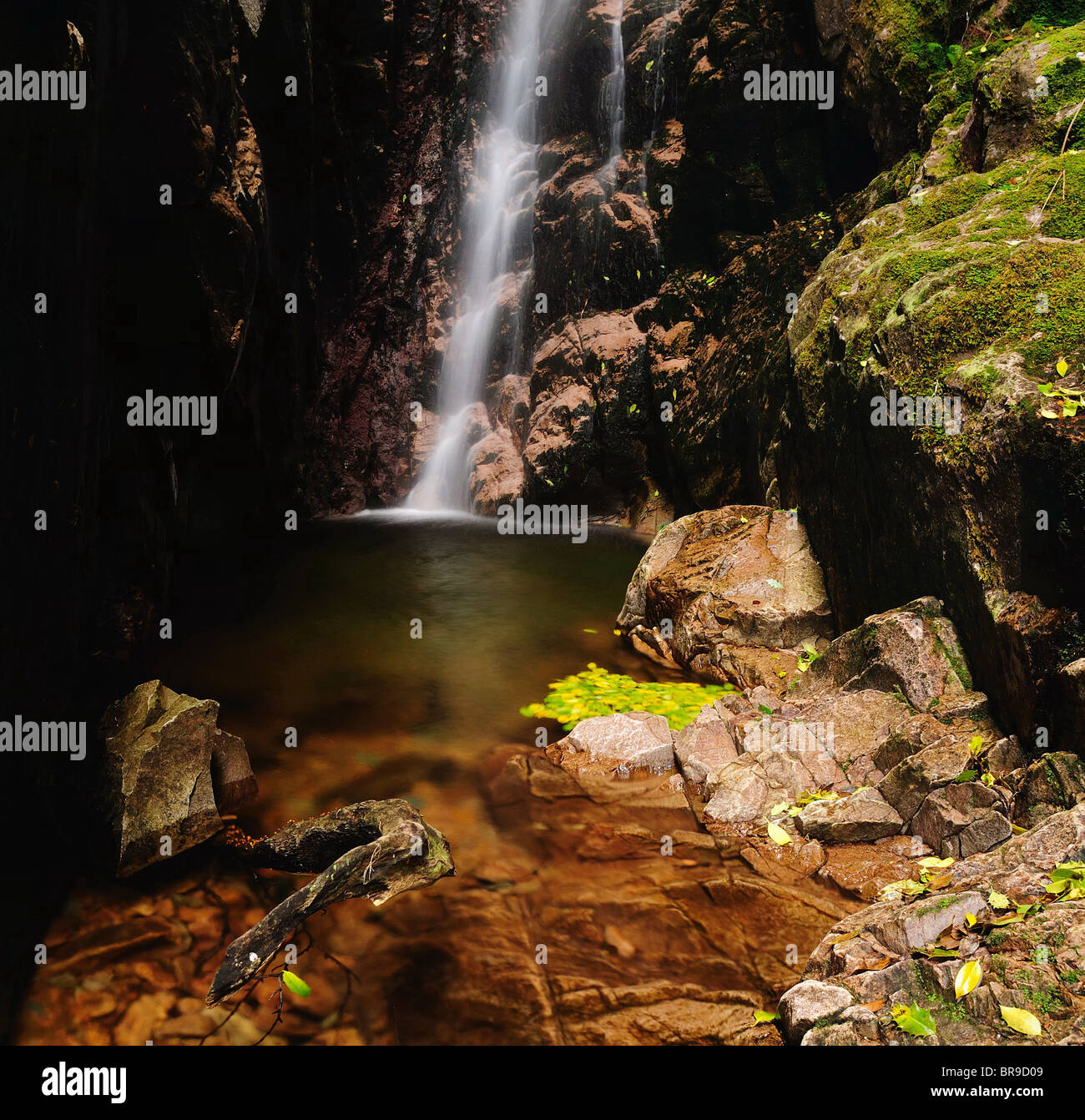 Scale Force waterfall in the English Lake District Stock Photo Alamy