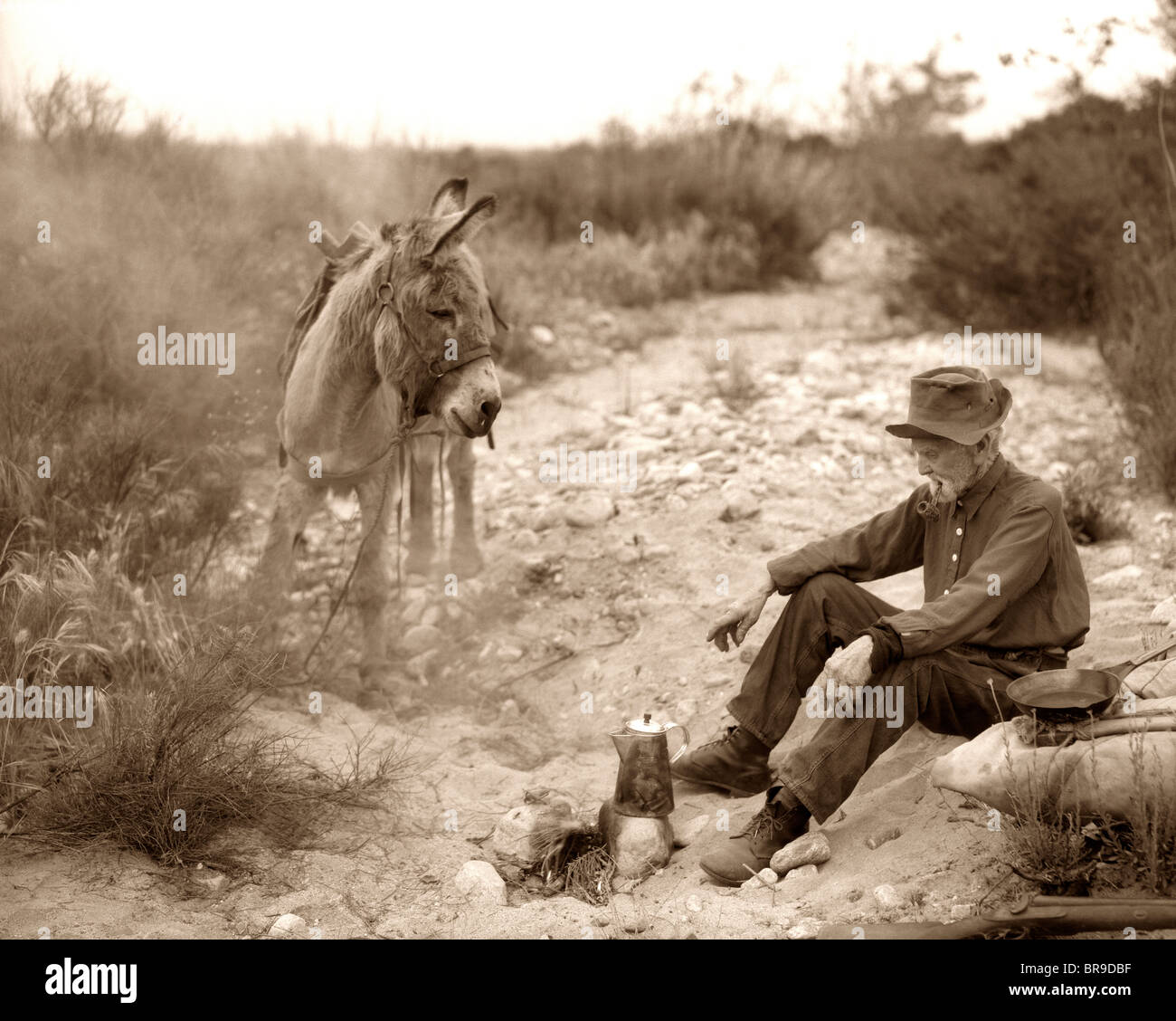 Gold prospector donkey hires stock photography and images Alamy