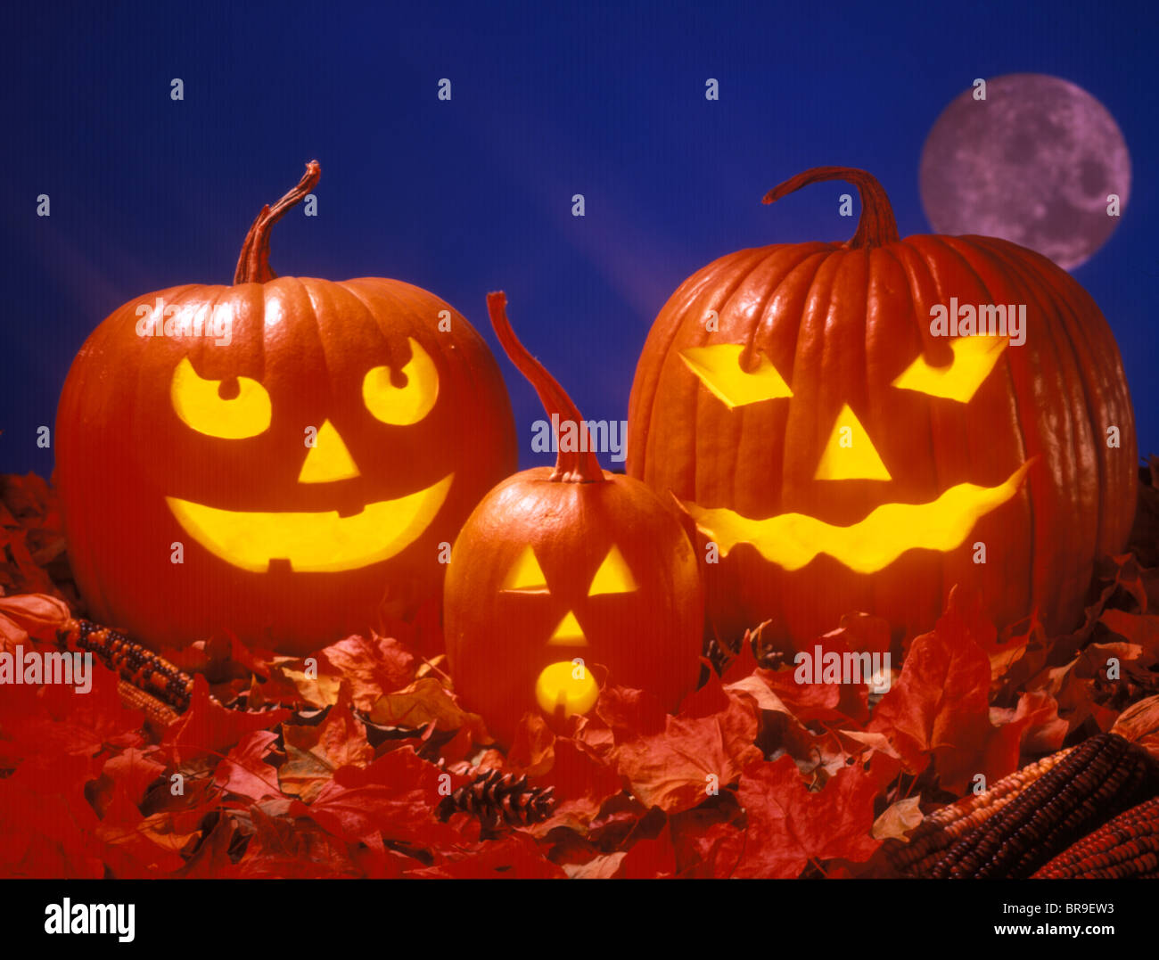 FAMILY GROUP OF THREE CARVED HALLOWEEN PUMPKIN HEADS UNDER AUTUMN MOON AT NIGHT Stock Photo