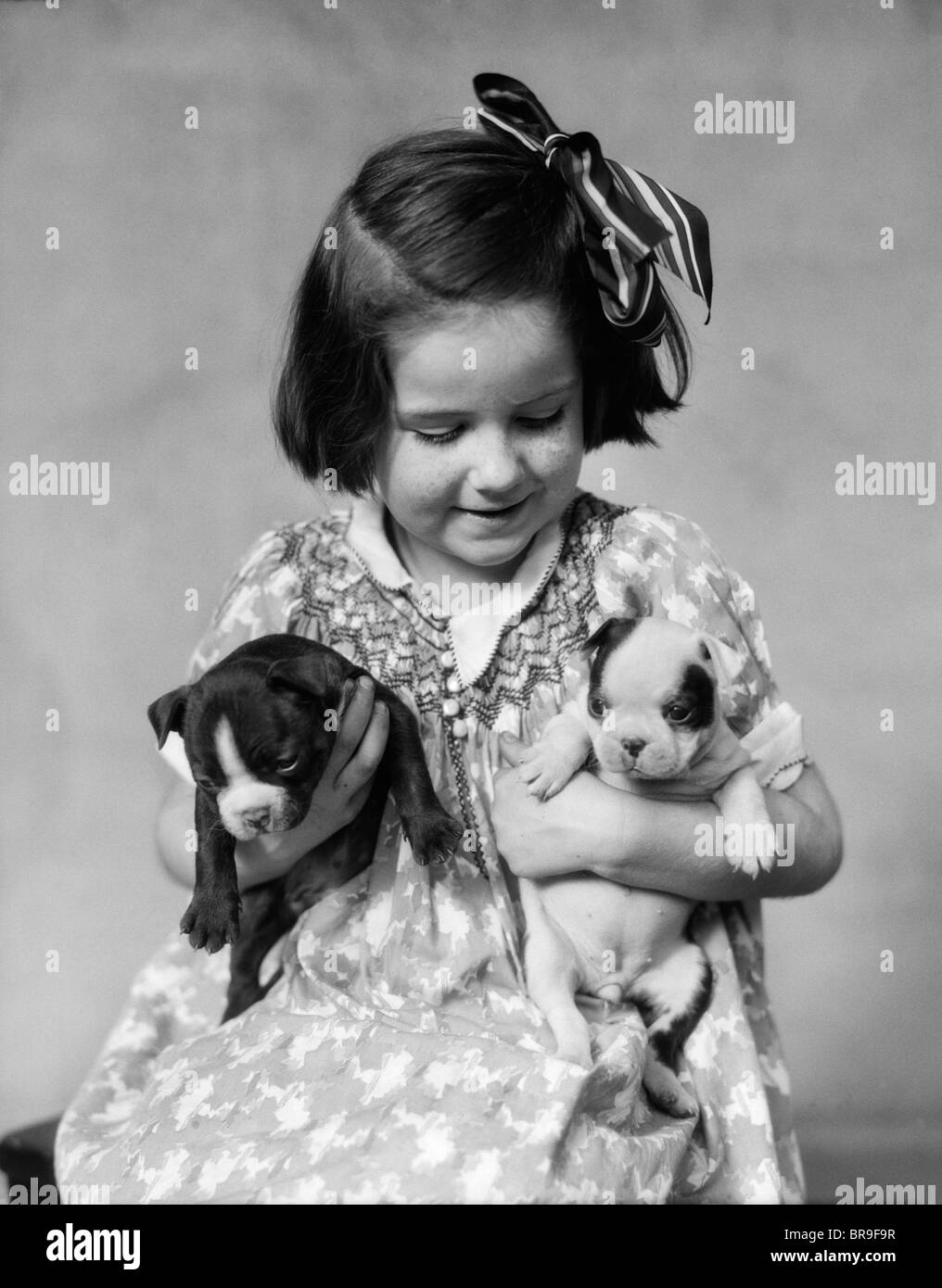 1920s LITTLE GIRL HOLDING TWO BOSTON TERRIER PUPPIES Stock Photo