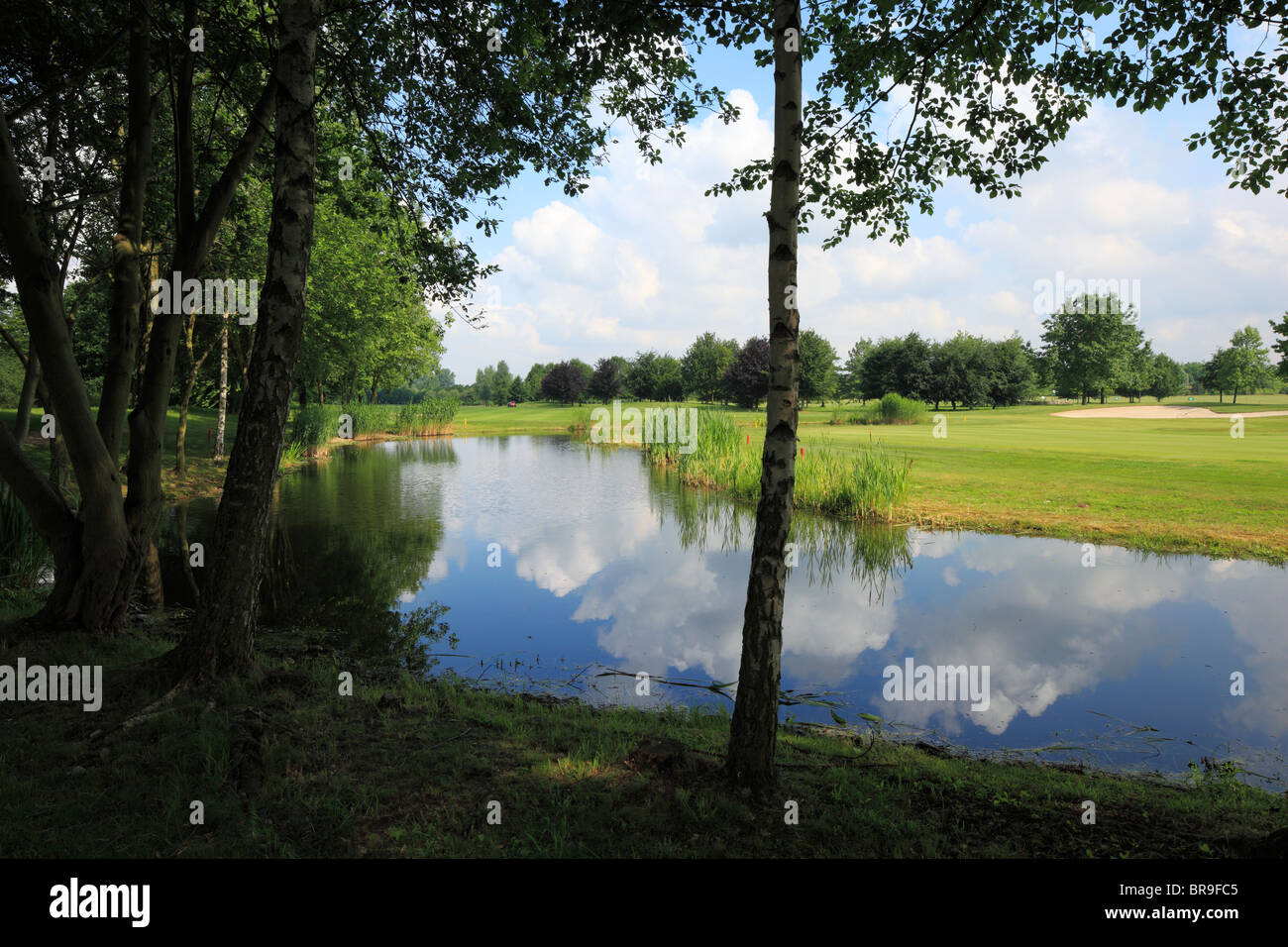 D-Krefeld, Rhine, Lower Rhine, North Rhine-Westphalia, D-Krefeld-Traar, golf course Elfrath Mill, golf club, parkland, park landscape, pond, pool Stock Photo