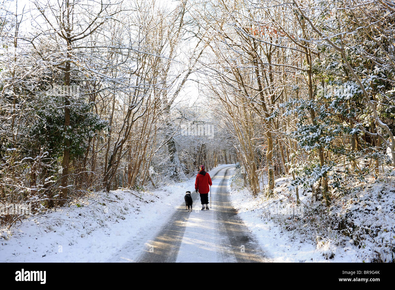 Snow covered lane England Uk Stock Photo