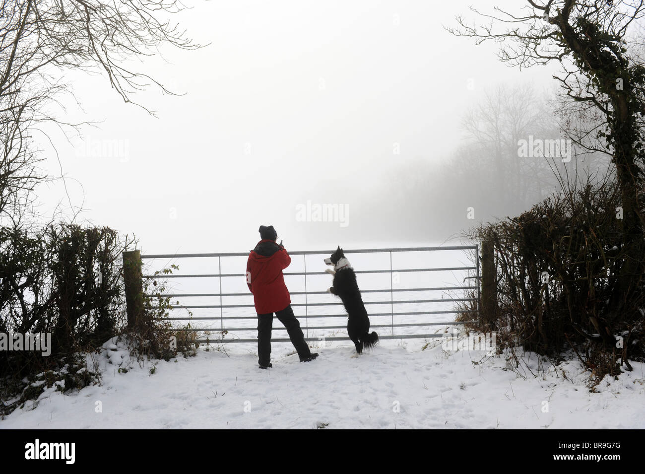 Walker and dog at Farm gate in the snow Shropshire England Uk Stock Photo