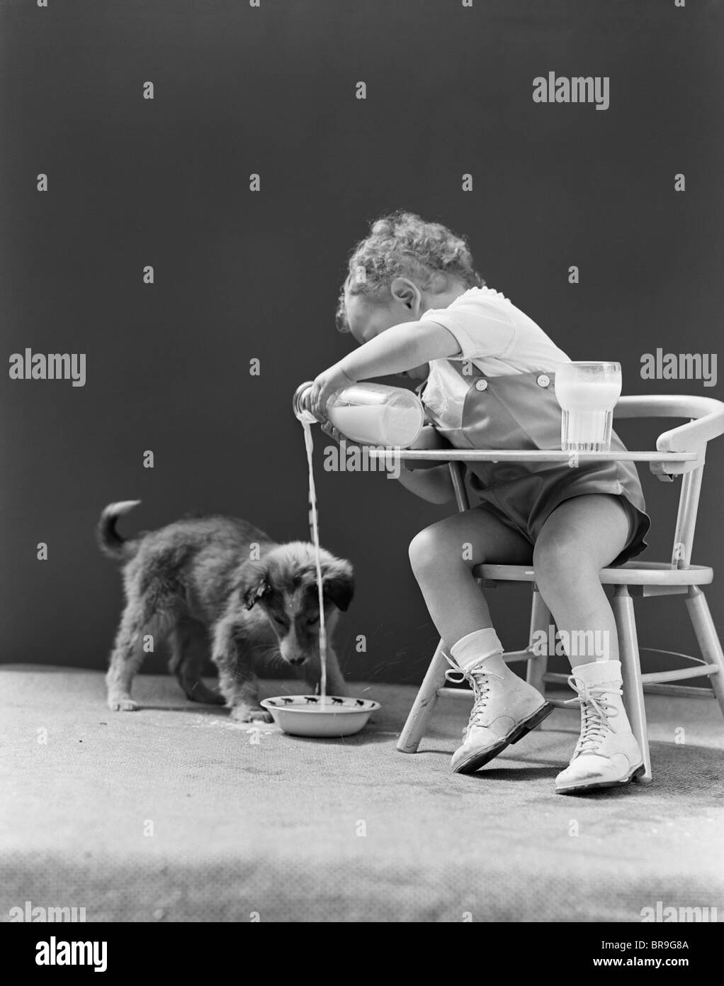 1940s TODDLER SITTING IN CHAIR POURING MILK FROM BOTTLE INTO BOWL FOR PUPPY DOG Stock Photo