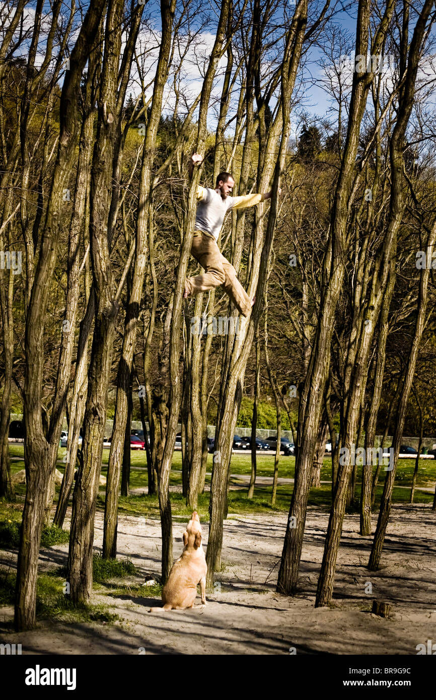 A man climbs a tree in a park while his dog watches from the ground in Seattle Washington. Stock Photo