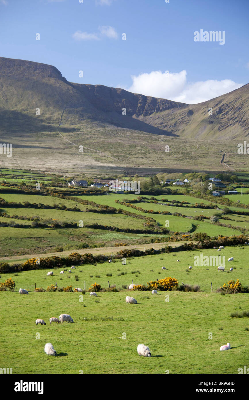 Ireland, Dingle Peninsula, landscape. Stock Photo