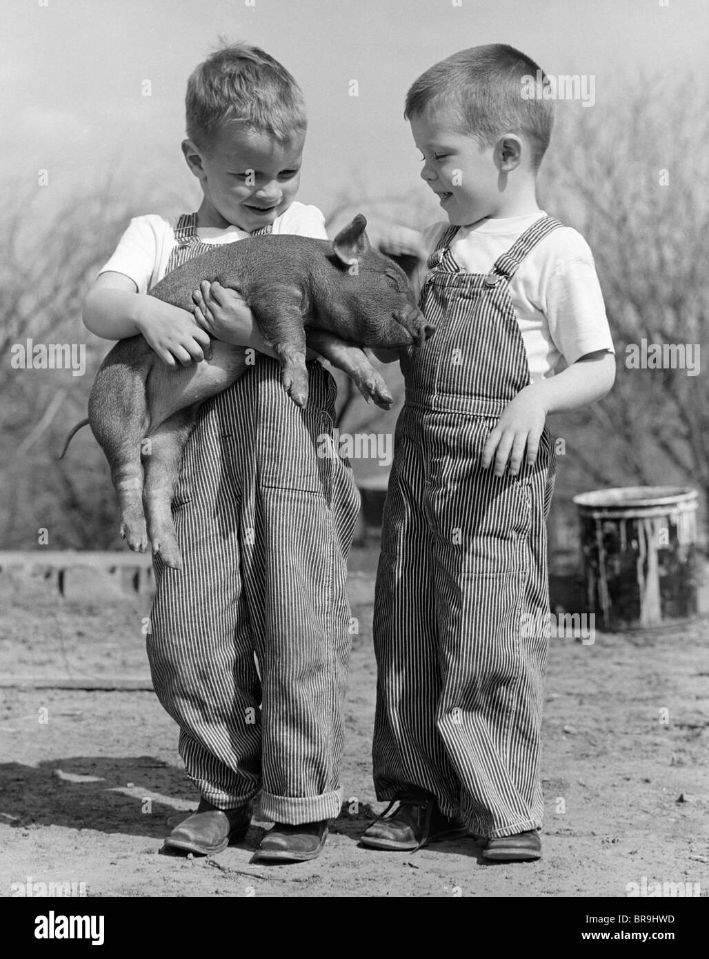 1950s BOYS IN STRIPED OVERALLS HOLDING PIGLET Stock Photo