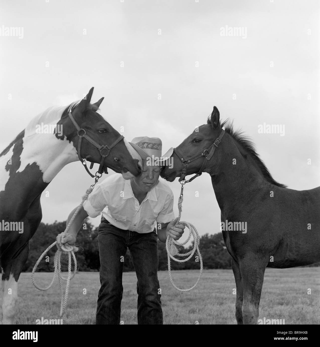 1960s BOY WEARING COWBOY HAT HOLDING ROPES REINS HARNESS HALTER OF 2 HORSES ONE ON EITHER SIDE OF HIS FACE KISSING HIM FUNNY Stock Photo