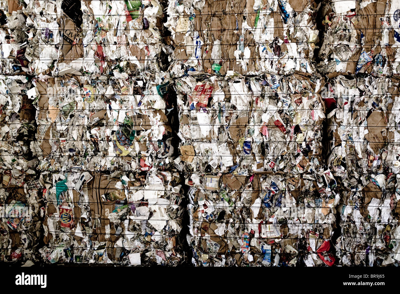 Bales of cardboard and paper ready to be shipped to a recycling plant in Bend Oregon Stock Photo