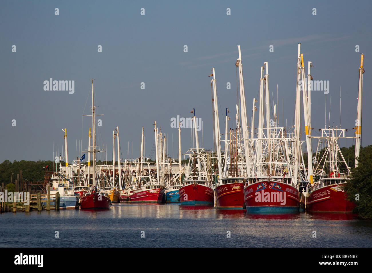 Shrimp boats in Bayou La Batre, Alabama, fishing boats in port during Gulf oil spill, 2010 Stock Photo