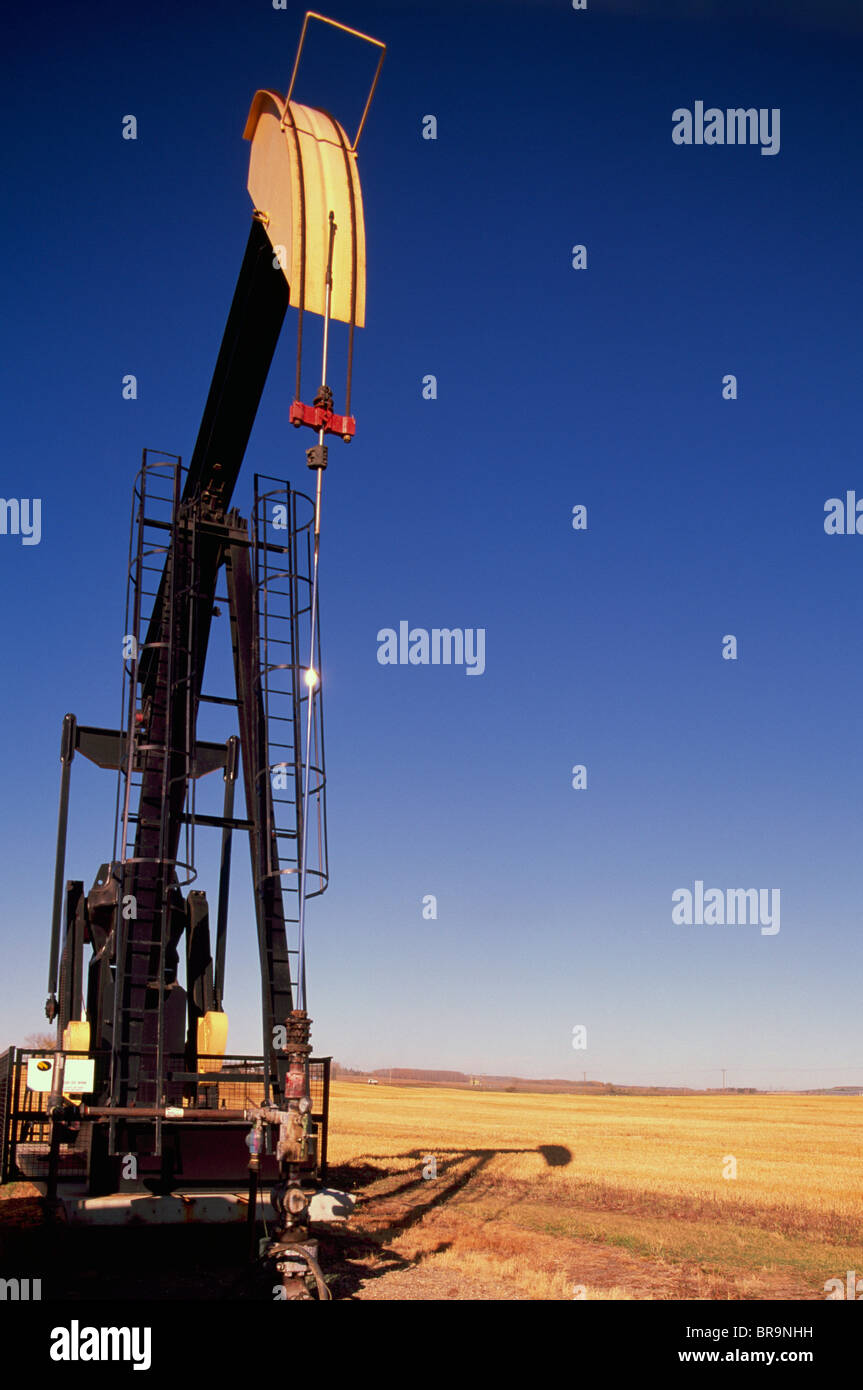 Oil donkey hires stock photography and images Alamy