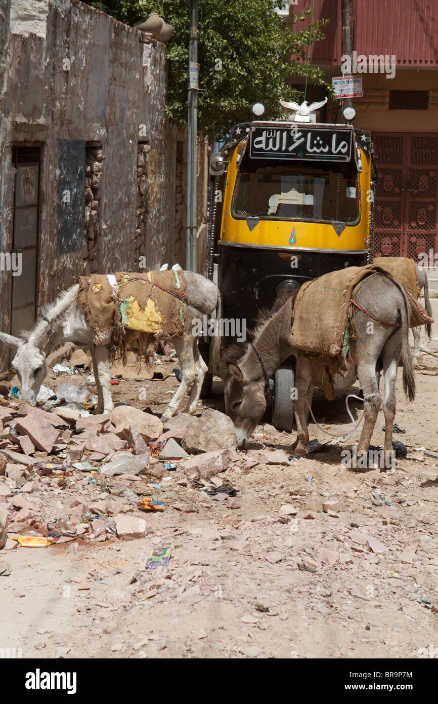 Jodhpur rickshaw tuk tuk taxi hi-res stock photography and images - Alamy
