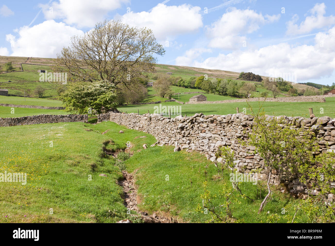 Dentdale near Cowgill in the Yorkshire Dales National Park. east of