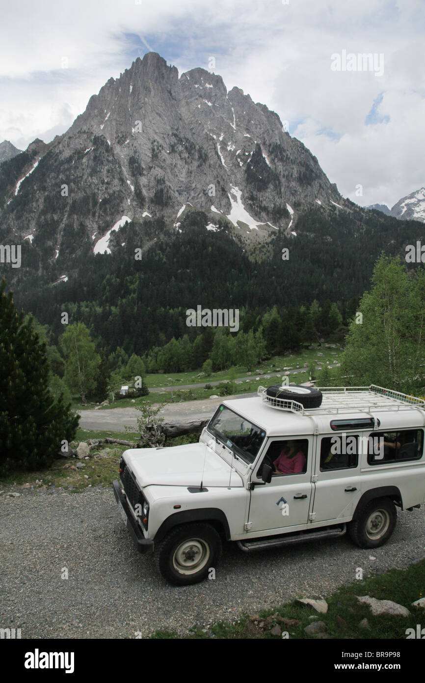 Forest rover hi-res stock photography and images - Alamy