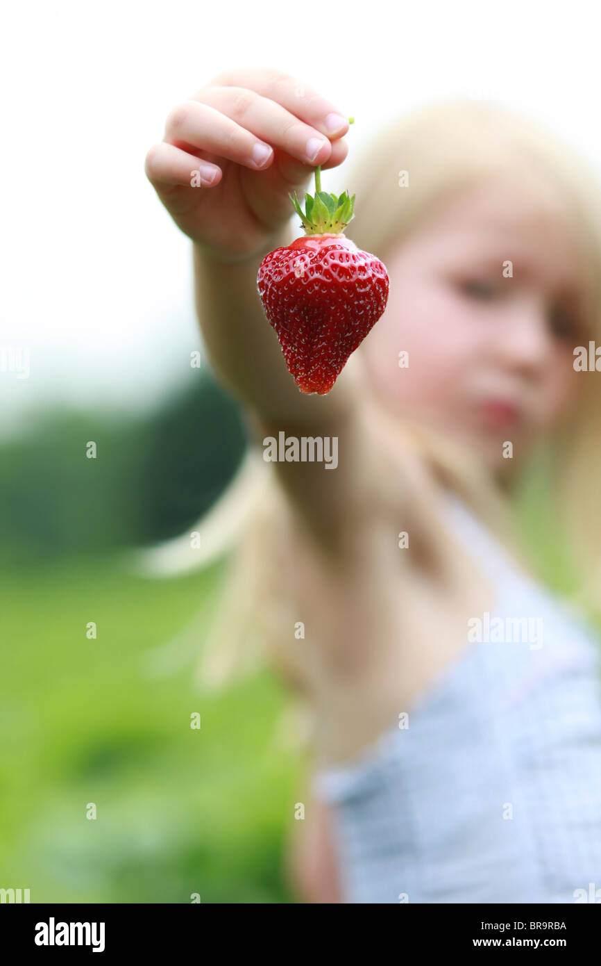 Little girl in a strawberry field Stock Photo - Alamy