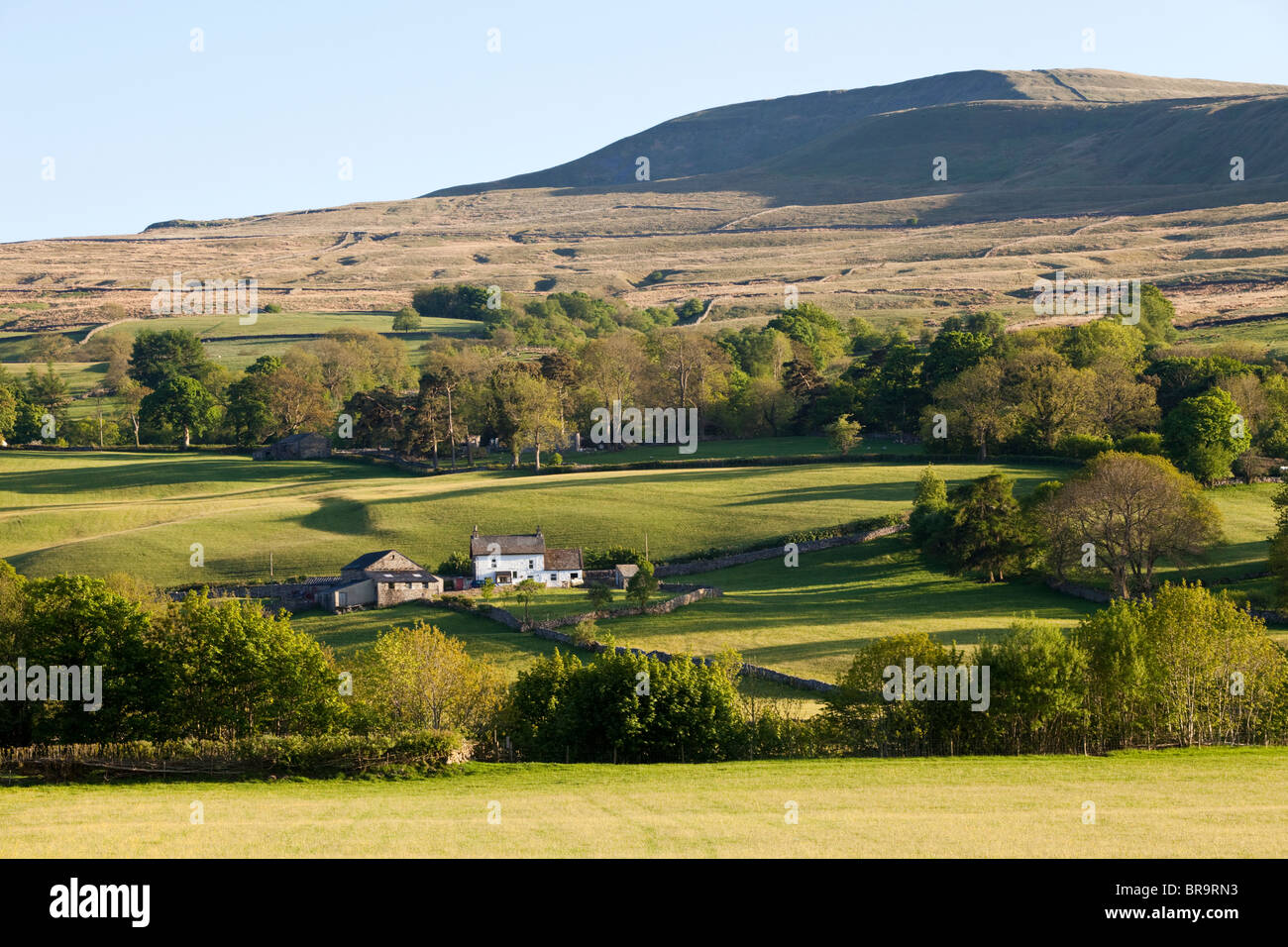 Dentdale in the Yorkshire Dales National Park, south east of Dent, Cumbria looking towards Whernside Stock Photo