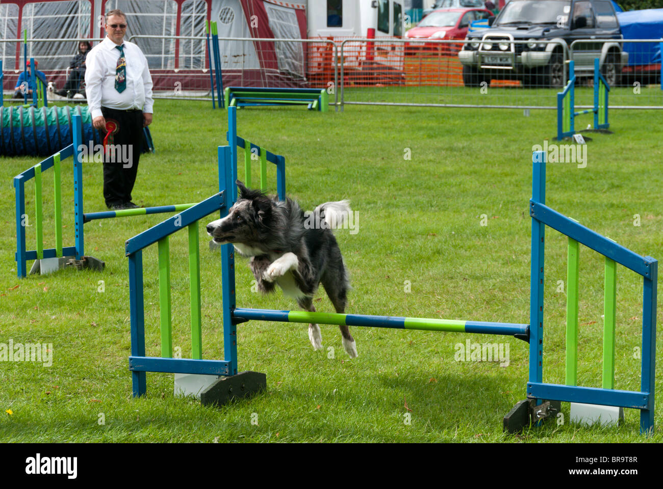 A dog jumping hurdles during an agility test at the Sandringham Game