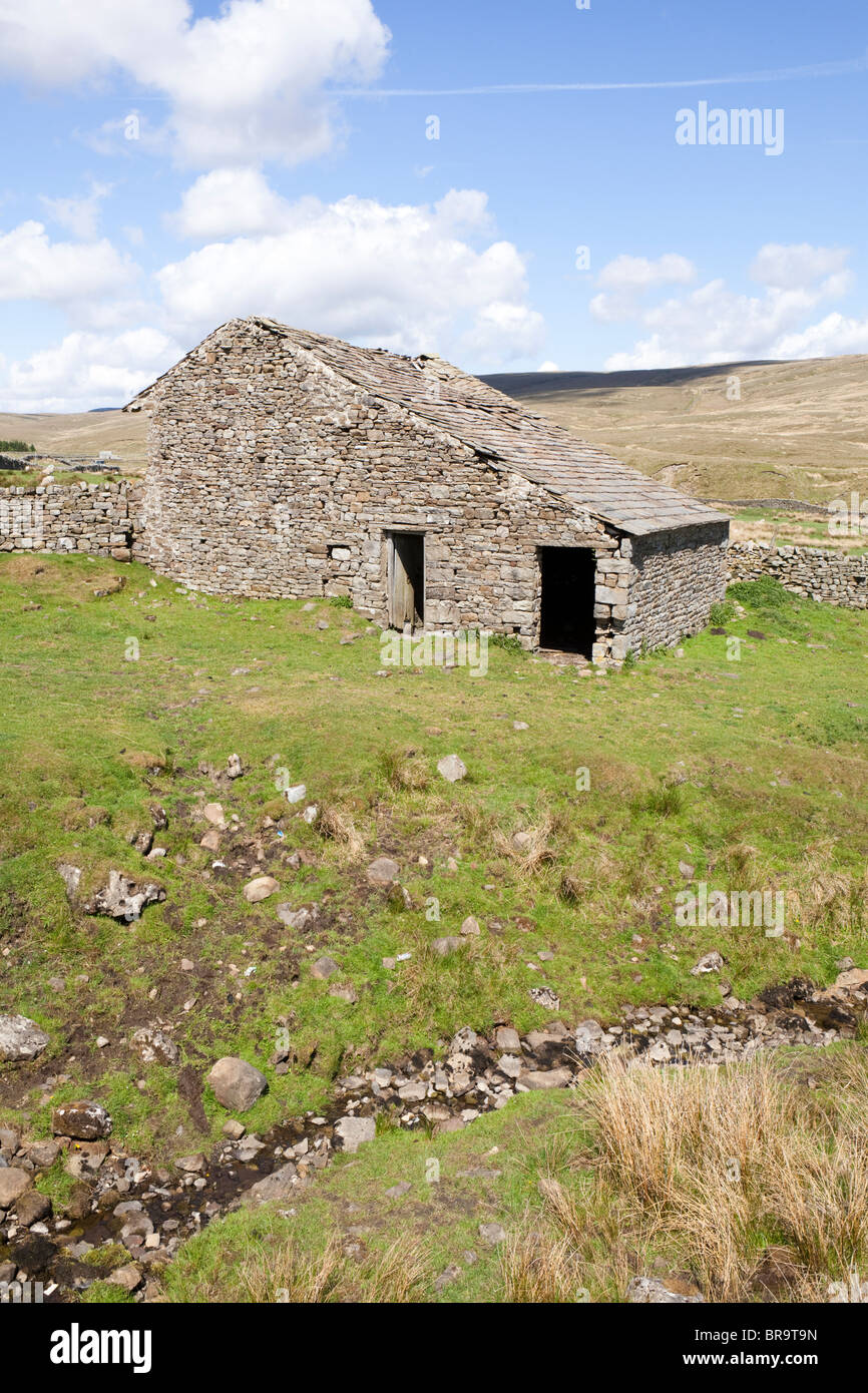 A typical Yorkshire Dales dry stone built barn near Blea Moor, SW of Hawes, North Yorkshire Stock Photo