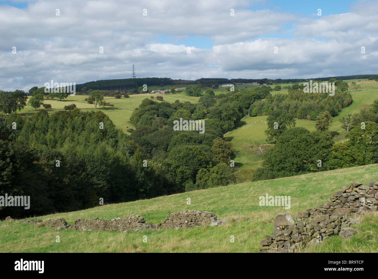 Countryside landscape in the Washburn Valley North Yorkshire Stock Photo
