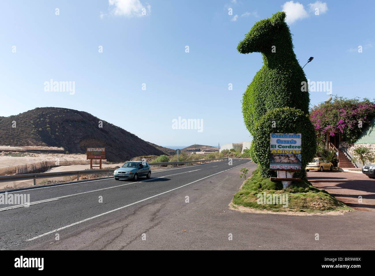 A group of trees trimmed into the shape of a giant lamb topiary to advertise a restaurant at Guargacho in Tenerife Stock Photo