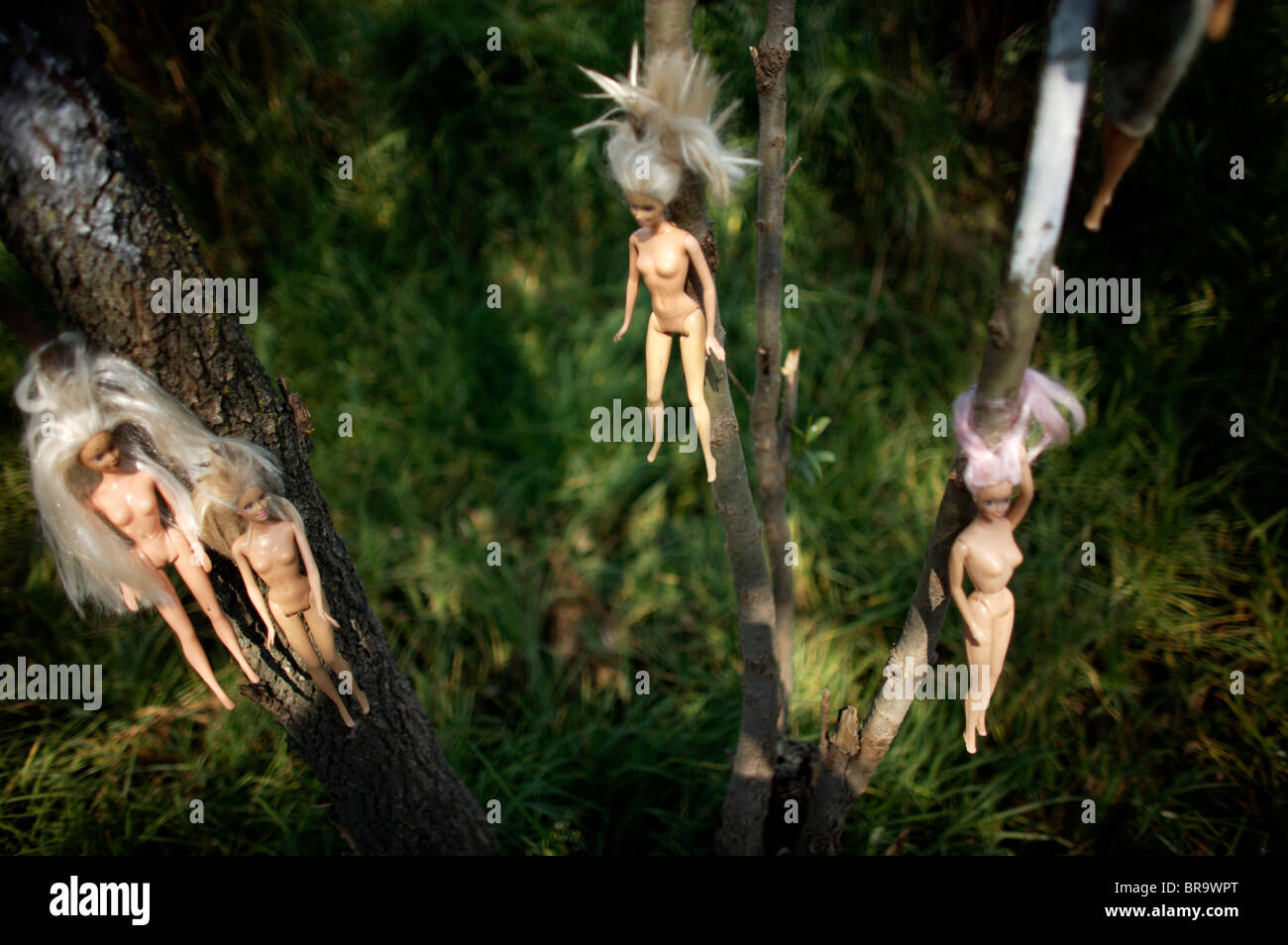 Dolls hang on a tree on the Island of the Dolls in Xochimilco southern Mexico City Stock Photo