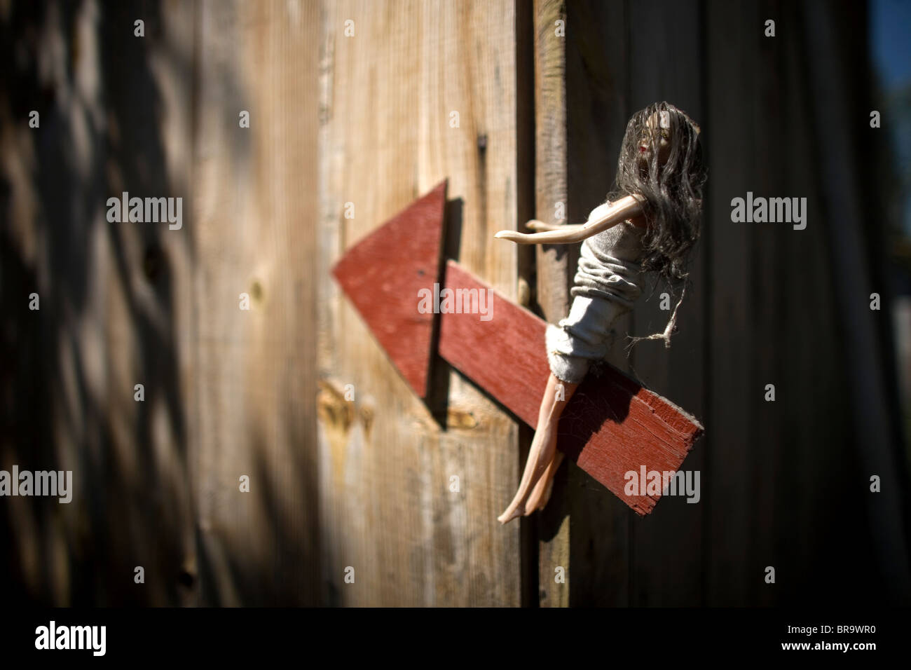 A doll hangs on an arrow sign on the Island of the Dolls in Xochimilco southern Mexico City Stock Photo
