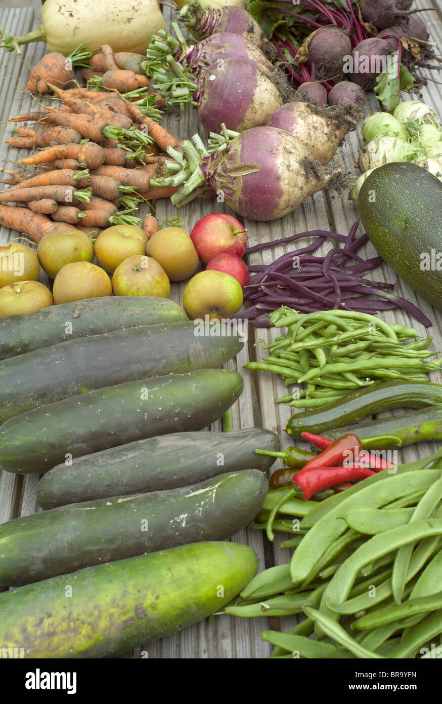 A variety of vegetables on display just picked from a community run garden scheme. Stock Photo