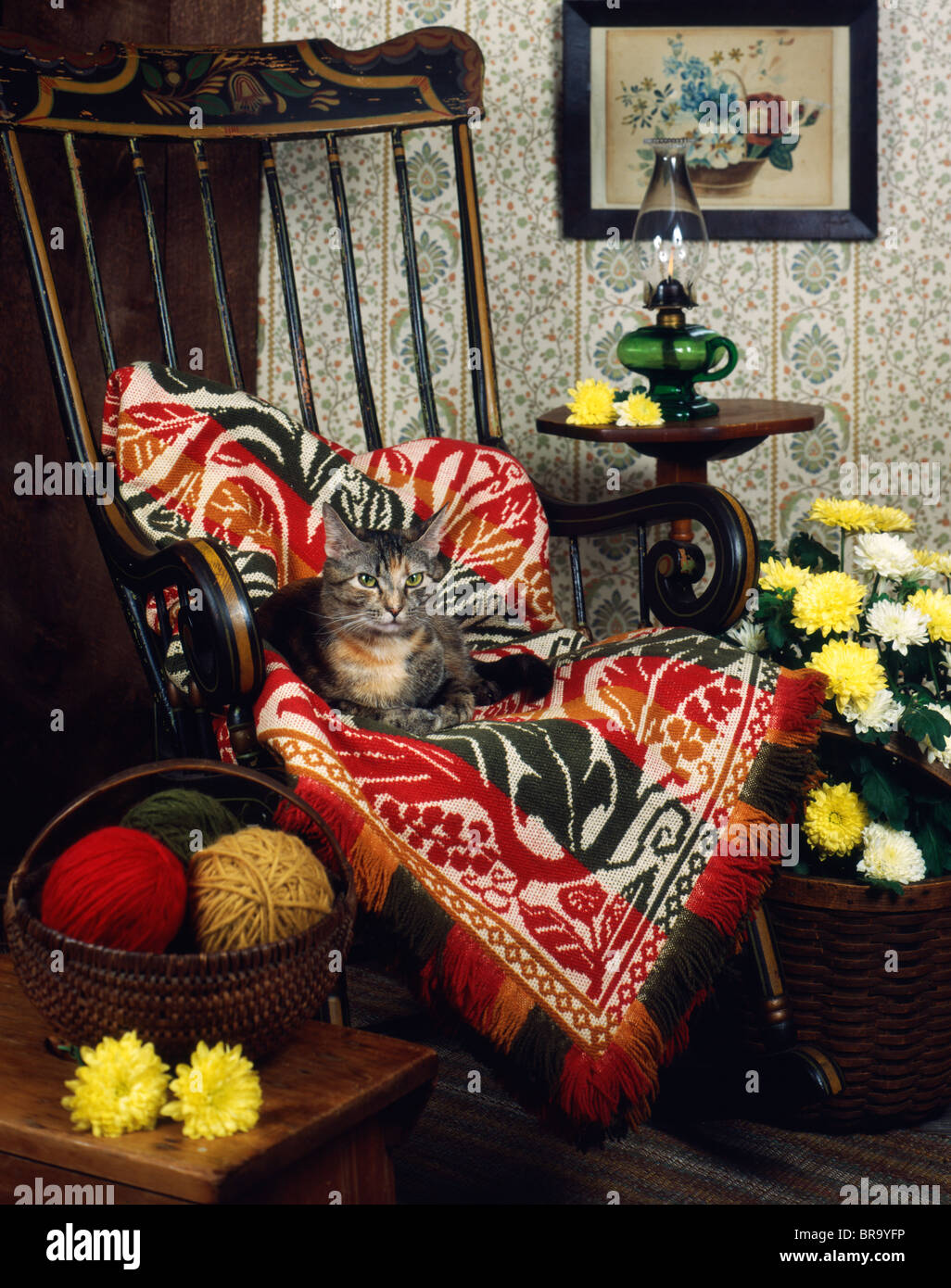 1970s TABBY CAT LYING ON AFGHAN THROW COLONIAL ROCKING CHAIR KNITTING ...