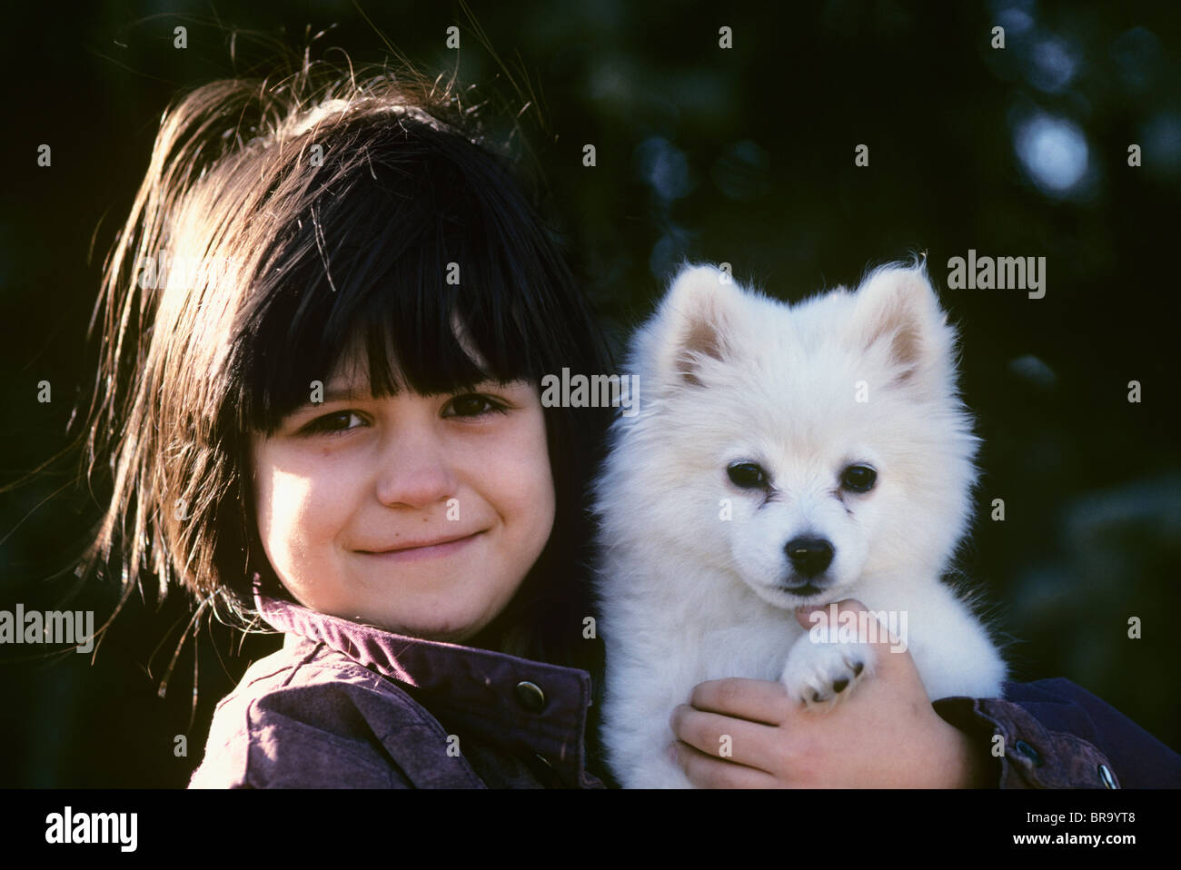1990s EIGHT-YEAR-OLD GIRL HOLDING WHITE PUPPY AMERICAN ESKIMO SPITZ Stock Photo