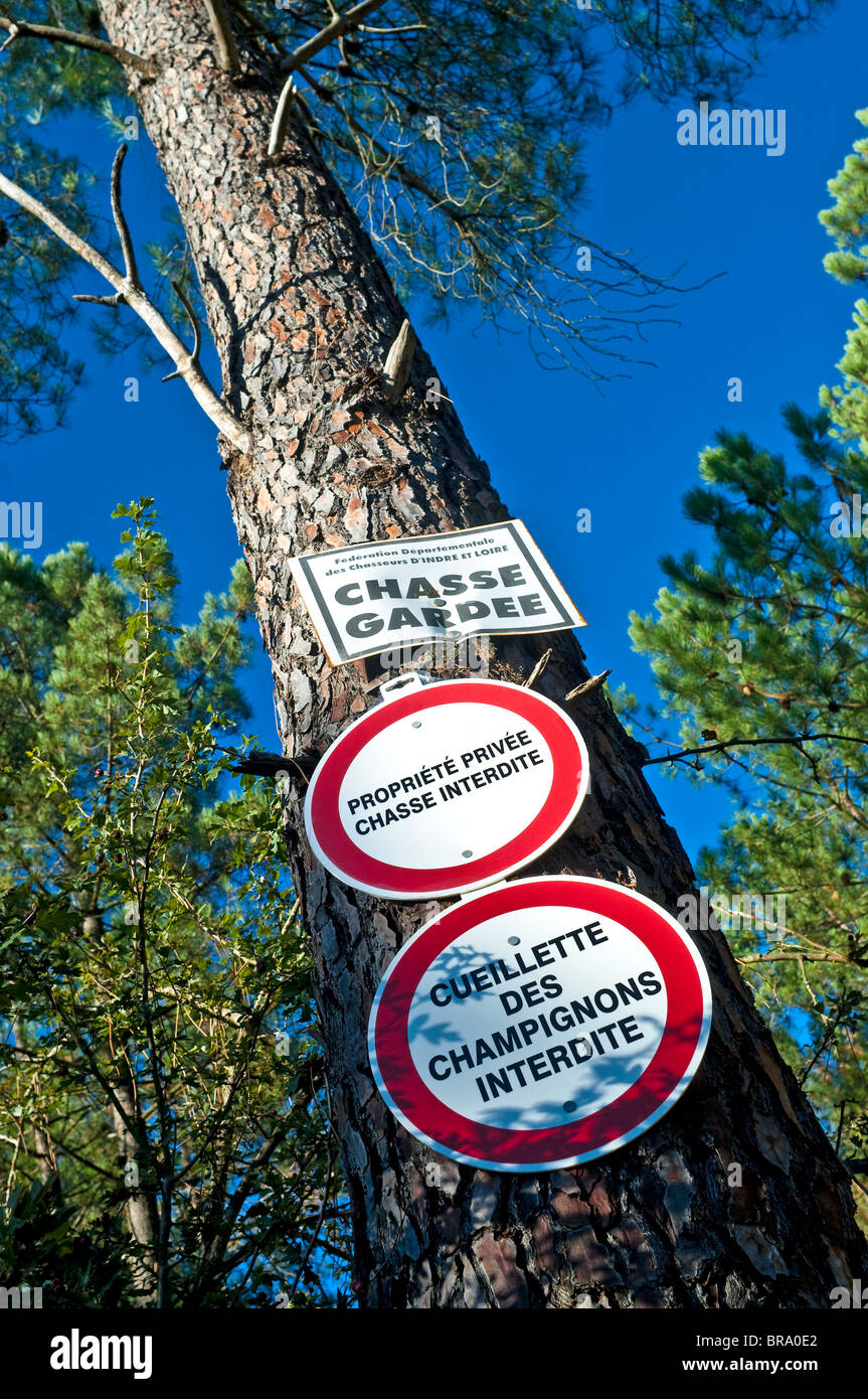French hunting and mushroom gathering warning notices on Pine tree. Stock Photo
