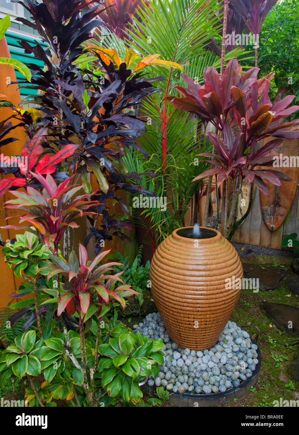 Hanalei, Kauai, Hawaii Garden detail of the Kauai Surfboard House Stock