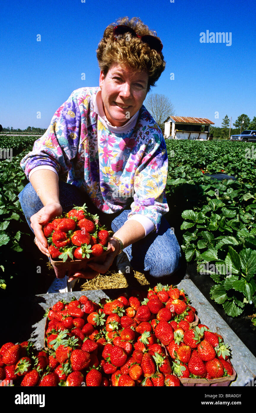 1980s WOMAN WITH FRESH PICKED STRAWBERRIES Stock Photo - Alamy