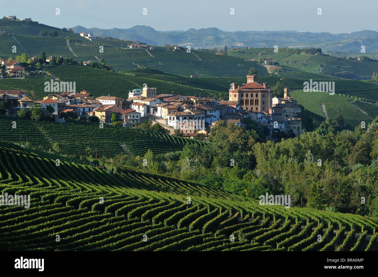 Barolo. Italy. The small town of Barolo nestled amongst vineyards in the Langhe region of Piedmont. Stock Photo