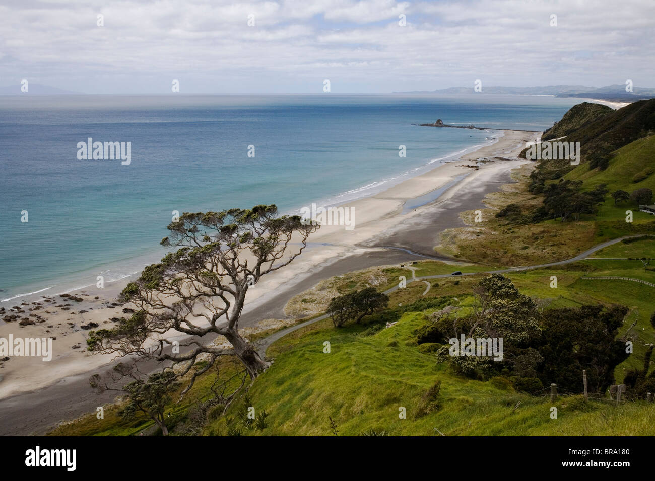 The beach at Mangawhai Heads on the east coast of New Zealand's North Island. Stock Photo