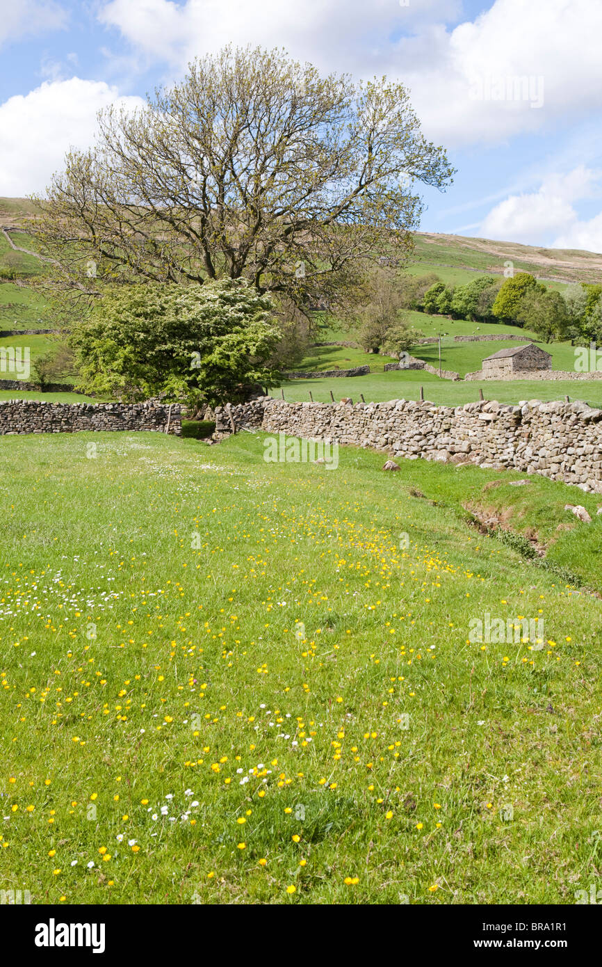 Dentdale near Cowgill in the Yorkshire Dales National Park. east of Dent, Cumbria Stock Photo