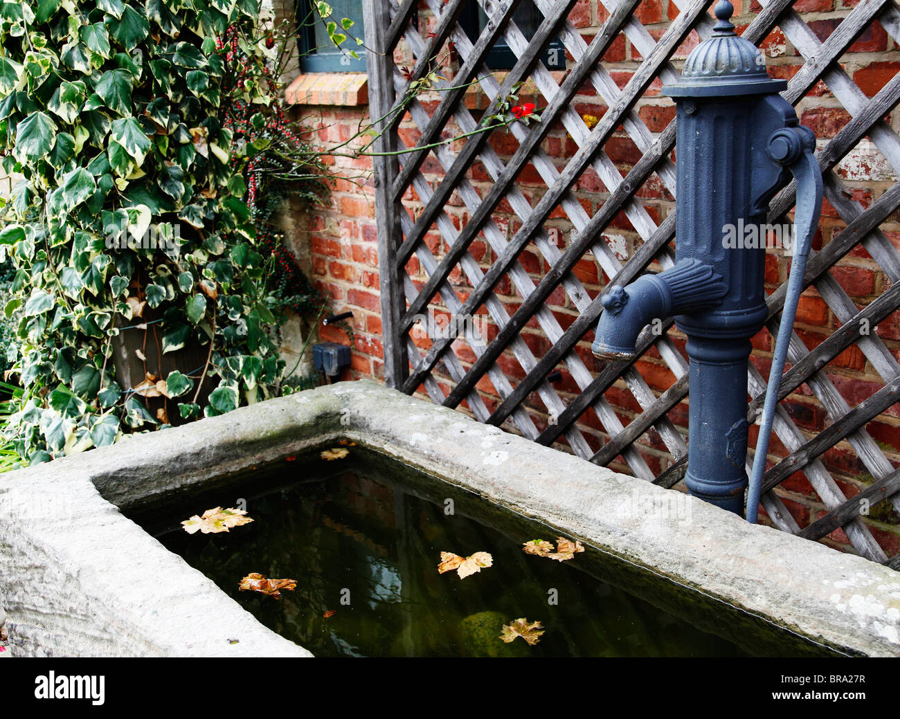A water trough with a traditional water pump used as a feature in a