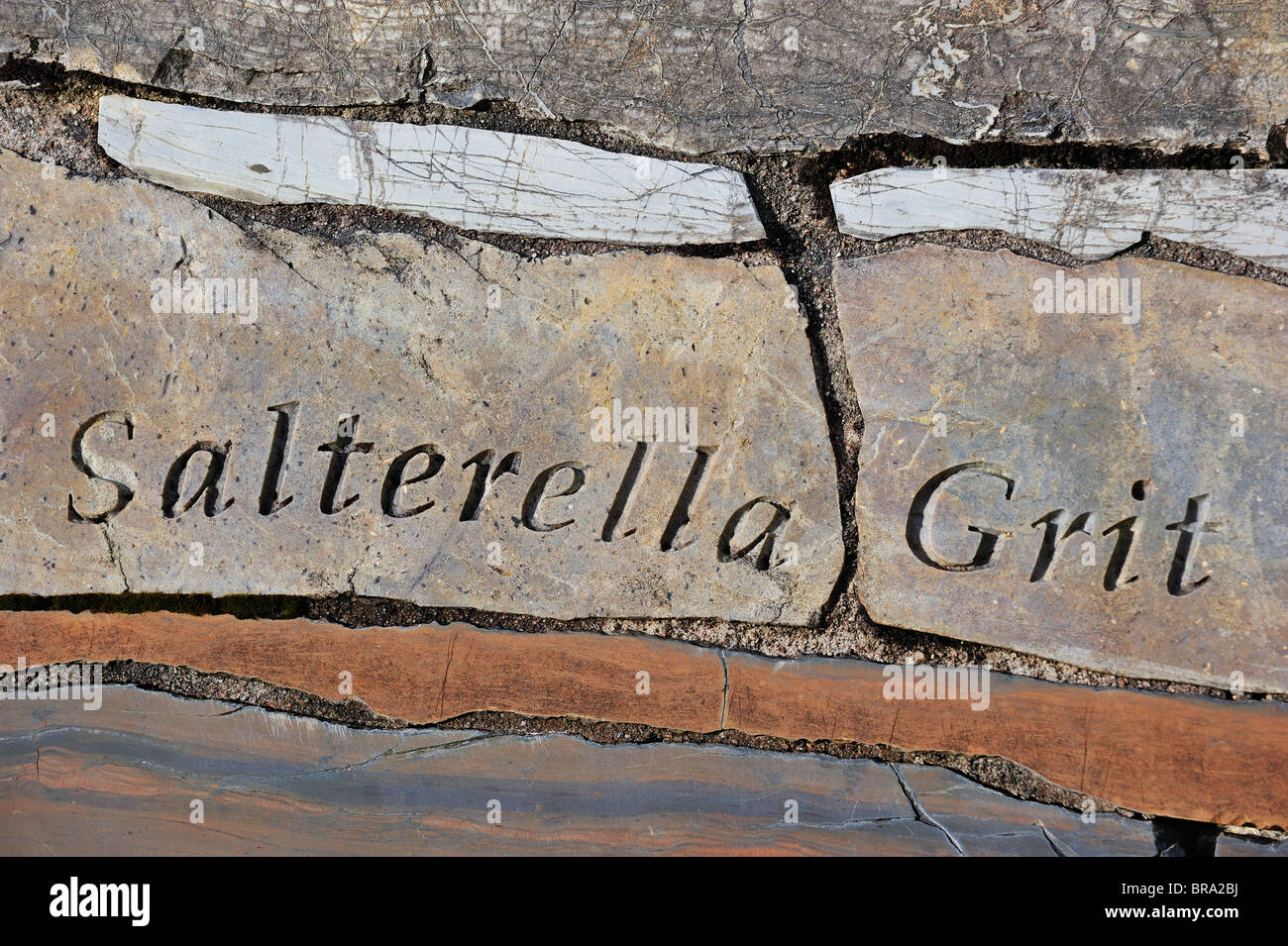 Salterella grit rock fragment, part of the Knockan Puzzle at the